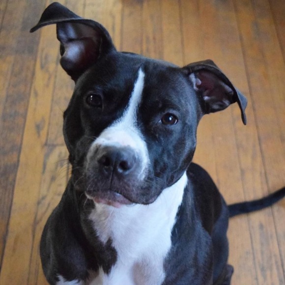 Hi, I’m PocoBee! - Picture 1 of 1